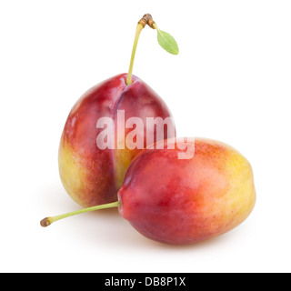 plum two on white background Stock Photo