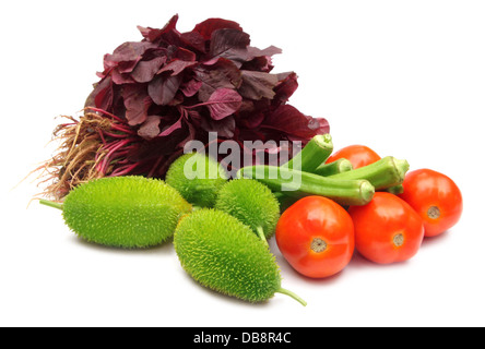 Fresh vegetables – Cucumber, tomato and okras, amaranth, kakrol