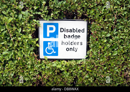 A 'Disabled badge holders only' sign surrounded by a hedge in London, UK. Stock Photo