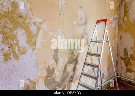 Old wallpapers and metallic ladder Stock Photo