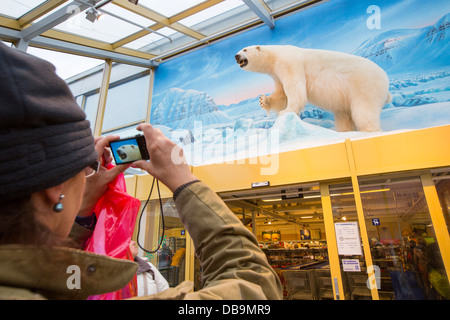 A stuffed Polar Bear at the Coop shop in Longyearbyen on Spitsbergen, Svalbard. Stock Photo