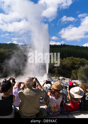 dh Wai O Tapu Thermal Wonderland WAIOTAPU NEW ZEALAND Tourist crowd watching Lady Knox Geyser erupting taking photographs geysers rotorua park photo Stock Photo