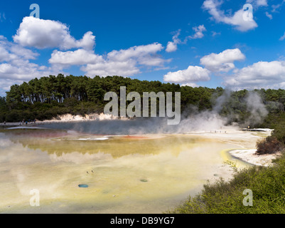 dh Wai O Tapu Thermal Wonderland WAIOTAPU NEW ZEALAND Steam rising geothermal Champagne Pool and yellow colours Artists Palette sulphur rotorua pools Stock Photo