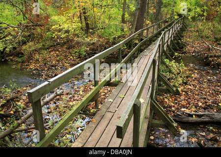 An Old, Rickety Wooden Foot Bridge Over A Stream In Autumn, Glen Helen Nature Preserve; Yellow Springs Ohio, USA Stock Photo