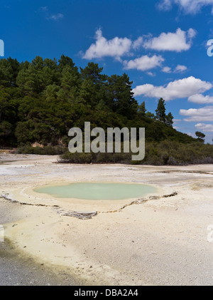 dh Wai O Tapu Thermal Wonderland WAIOTAPU NEW ZEALAND Geothermal sulphur volcanic landscape Oyster Pool north island rotorua Stock Photo