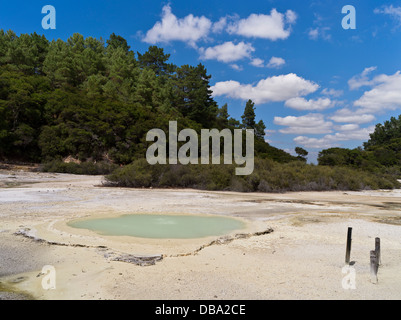 dh Wai O Tapu Thermal Wonderland WAIOTAPU  ROTORUA NEW ZEALAND NZ Geothermal sulphur landscape Oyster Pool pools north island Stock Photo