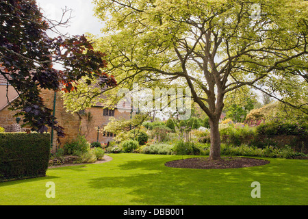 East Lambrook Manor House, location of the famous Margery Fish Cottage Garden in East Lambrook village, Somerset, England, UK Stock Photo