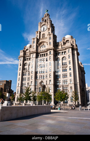 Evening light on The Royal Liver Building, Pier Head, Liverpool, UK Stock Photo
