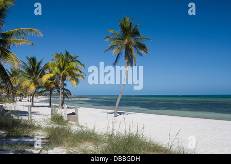 PALM TREES SMATHERS BEACH KEY WEST FLORIDA USA Stock Photo