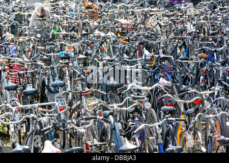 City of Maastricht spot the cyclist retrieving bike parked in popular full packed out cycle parking area summertime in Limburg Netherlands Europe EU Stock Photo