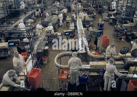 Visitors can view the production of Tillamook Cheese at the company's modern plant in Tillamook, Oregon, USA Stock Photo