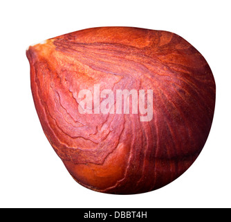 Filbert Kernel Whole walnut, half and kernel with green leaves watercolor illustration ...