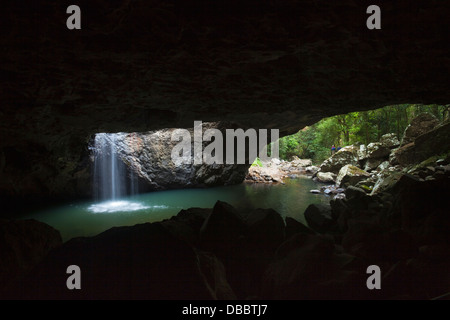 The Natural Bridge - water-formed cave and waterfall in Springbrook National Park. Gold Coast Hinterland, Queensland, Australia Stock Photo