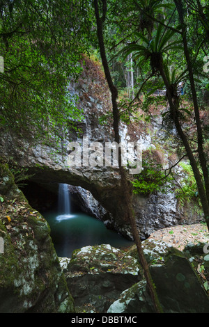 The Natural Bridge - water-formed cave and waterfall in Springbrook National Park. Gold Coast Hinterland, Queensland, Australia Stock Photo