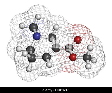 Arecoline areca nut stimulant compound, chemical structure. Atoms are represented as spheres with conventional color coding Stock Photo