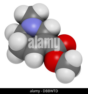 Arecoline areca nut stimulant compound, chemical structure. Atoms are represented as spheres with conventional color coding Stock Photo