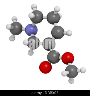 Arecoline areca nut stimulant compound, chemical structure. Atoms are represented as spheres with conventional color coding Stock Photo