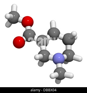 Arecoline areca nut stimulant compound, chemical structure. Atoms are represented as spheres with conventional color coding Stock Photo