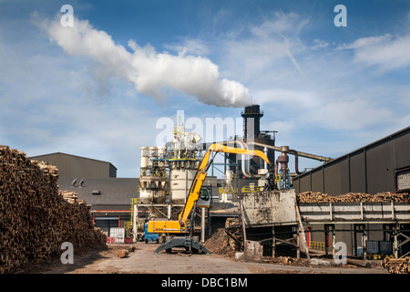 Scottish Tree Logging, Steam Emissions Bioenergy Norbord processing plant Biomass Plant Inverness, Morayhill, Dalcross, Invernessshire, Scotland, Stock Photo