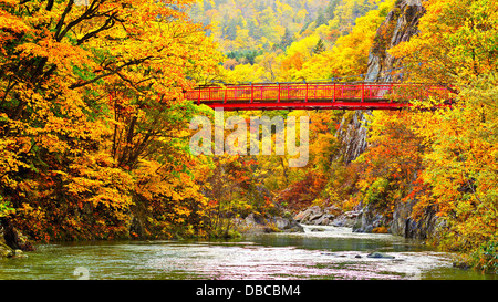 Fall foliage in Jozankei, Hokkaido, Japan. Stock Photo