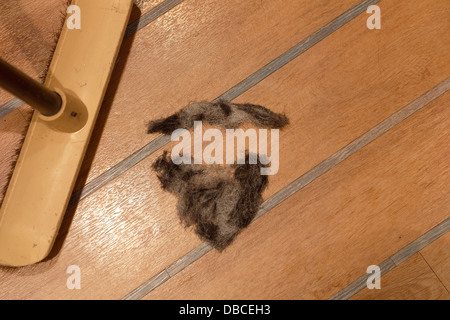 Hair cuttings on the floor swept together to make a moustache mustache and beard shape Stock Photo