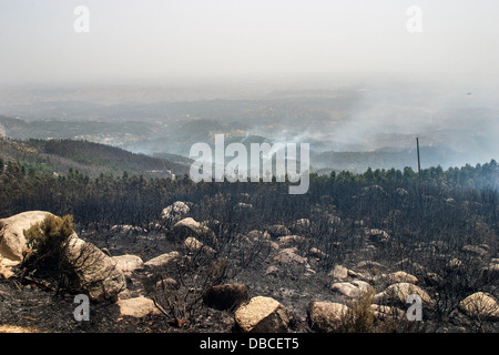 Continental summer hot weather heatwave and drought: Burnt out and blackened landscape still smoking after forest fires in the Algarve, Portugal Stock Photo