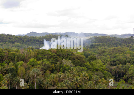 Typical Landscape on Bohol Island, Philippines Stock Photo