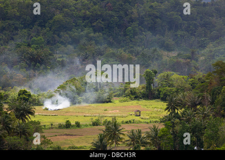 Typical Landscape on Bohol Island, Philippines Stock Photo