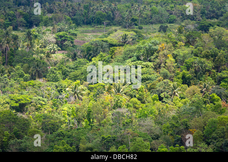 Typical Landscape on Bohol Island, Philippines Stock Photo