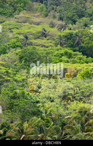 Typical Landscape on Bohol Island, Philippines Stock Photo