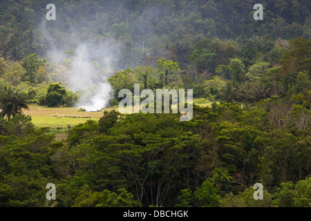 Typical Landscape on Bohol Island, Philippines Stock Photo