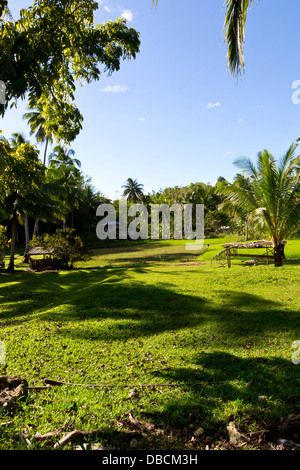 Typical Landscape on Bohol Island, Philippines Stock Photo