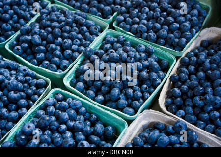 Fresh local blueberries at Granville Island Public Market. Vancouver, British Columbia, Canada. Stock Photo