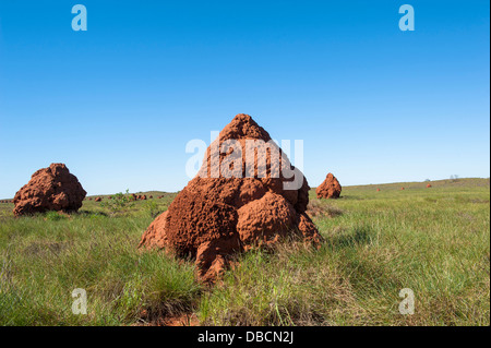 Termite mounds at the 'City of Termites' in the coastal headlands of Onslow, Western Australia