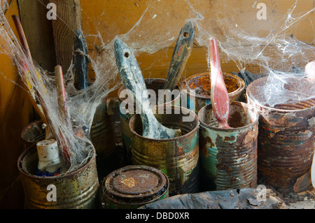Still Life - Cobwebs & Paint Pots in an old shed Stock Photo