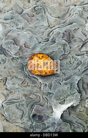 Red Ochre rock on eroded sandstone. Northumberland Coastline, England Stock Photo