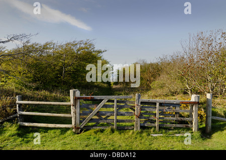 Gate To Brigstone Forest, Brighstone Down, Isle of Wight, England, UK, GB. Stock Photo