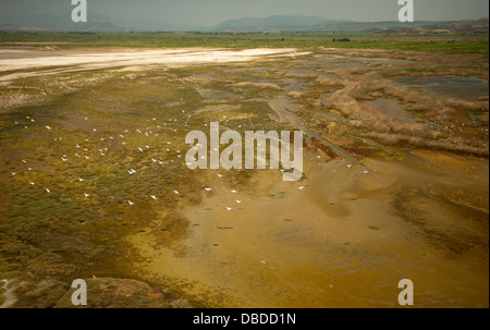 Aerial view of pelicans in Karine Lagoon estuary and wetland Aydın Turkey Stock Photo