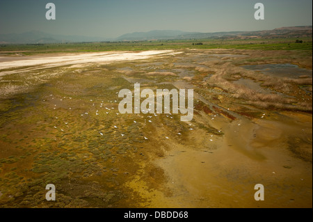 Aerial view of pelicans in Karine Lagoon estuary and wetland Aydın Turkey Stock Photo