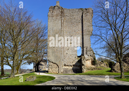 Ruined keep the old castle at Domfront, commune in the Orne department, Lower Normandy region, in north-western France Stock Photo