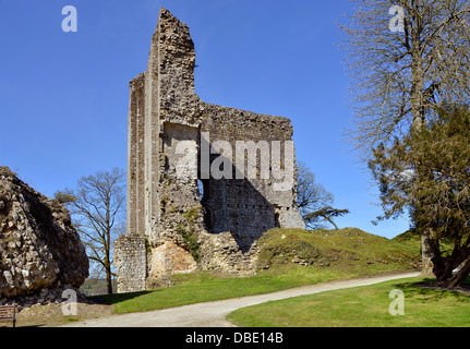 Ruined keep the old castle at Domfront, commune in the Orne department, Lower Normandy region, in north-western France Stock Photo