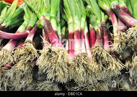 Spring onions at a Market Stall Photographed in Budapest, Hungary Stock Photo