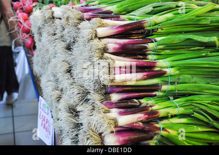 Spring onions at a Market Stall Photographed in Budapest, Hungary Stock Photo