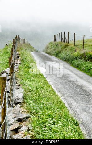 Country Lane Snowdonia National Park Wales Misty Plateau | SNOWDONIA NATIONAL PARK, Wales — A country lane framed by dry stone walls and wire fencing disappears into fog atop a farmed plateau in Eryri. Thick cloud is a frequent condition on these uplands, part of a 823-square-mile (2,130 km²) national park in north-west Wales shaped by centuries of sheep farming and Atlantic weather. Stock Photo
