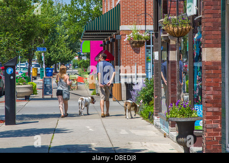 Elmwood Avenue in Elmwood Village area of Buffalo New York Stock Photo