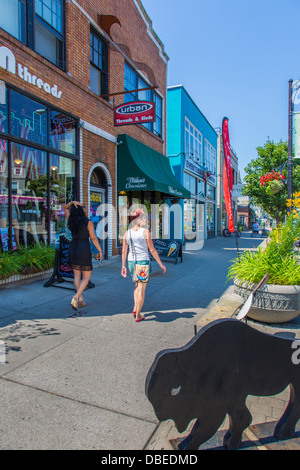 Elmwood Avenue in Elmwood Village area of Buffalo New York Stock Photo