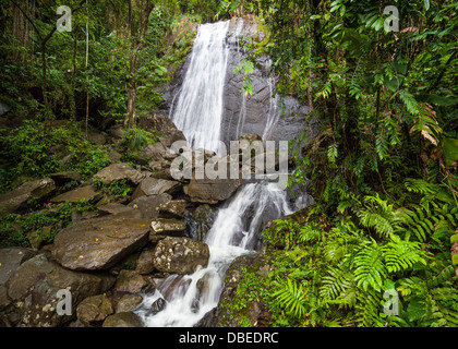 La Coca Falls in El Yunque Rainforest, Puerto Rico. Stock Photo
