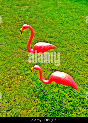 Pink flamingos on lawn Stock Photo
