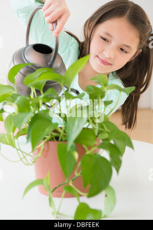 Mixed race girl watering indoor plants Stock Photo
