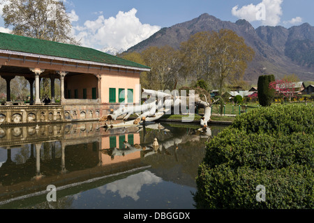 Fallen tree in water pool inside the Shalimar Garden in Srinagar. One of the beautiful gardens by the Dal Lake next to mountains Stock Photo